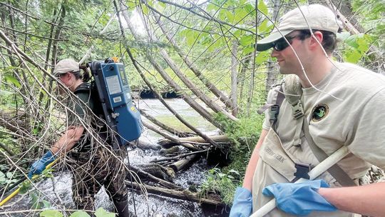 What happened to brook trout fishing?