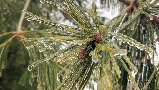 Wintry weather mix ahead
