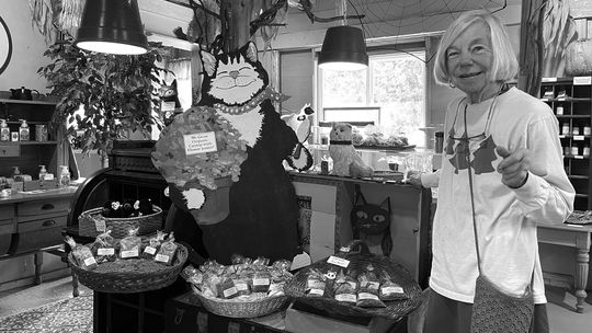 Woodland Herb Farm and Twisted Whiskers owner Pat Bourdo is pictured next to her hand-sewn catnip toys, a customer favorite, currently for sale in her shop. Enterprise photo by Meakalia Previch-Liu