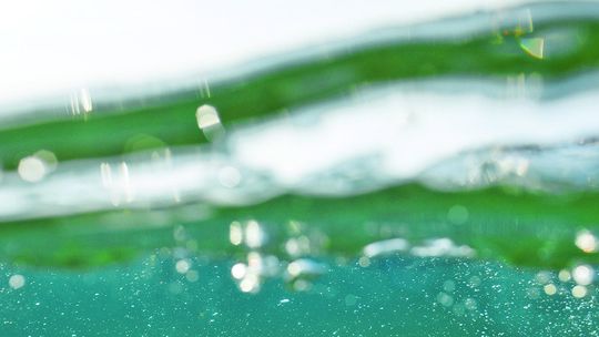 Work of Leelanau photographer featured