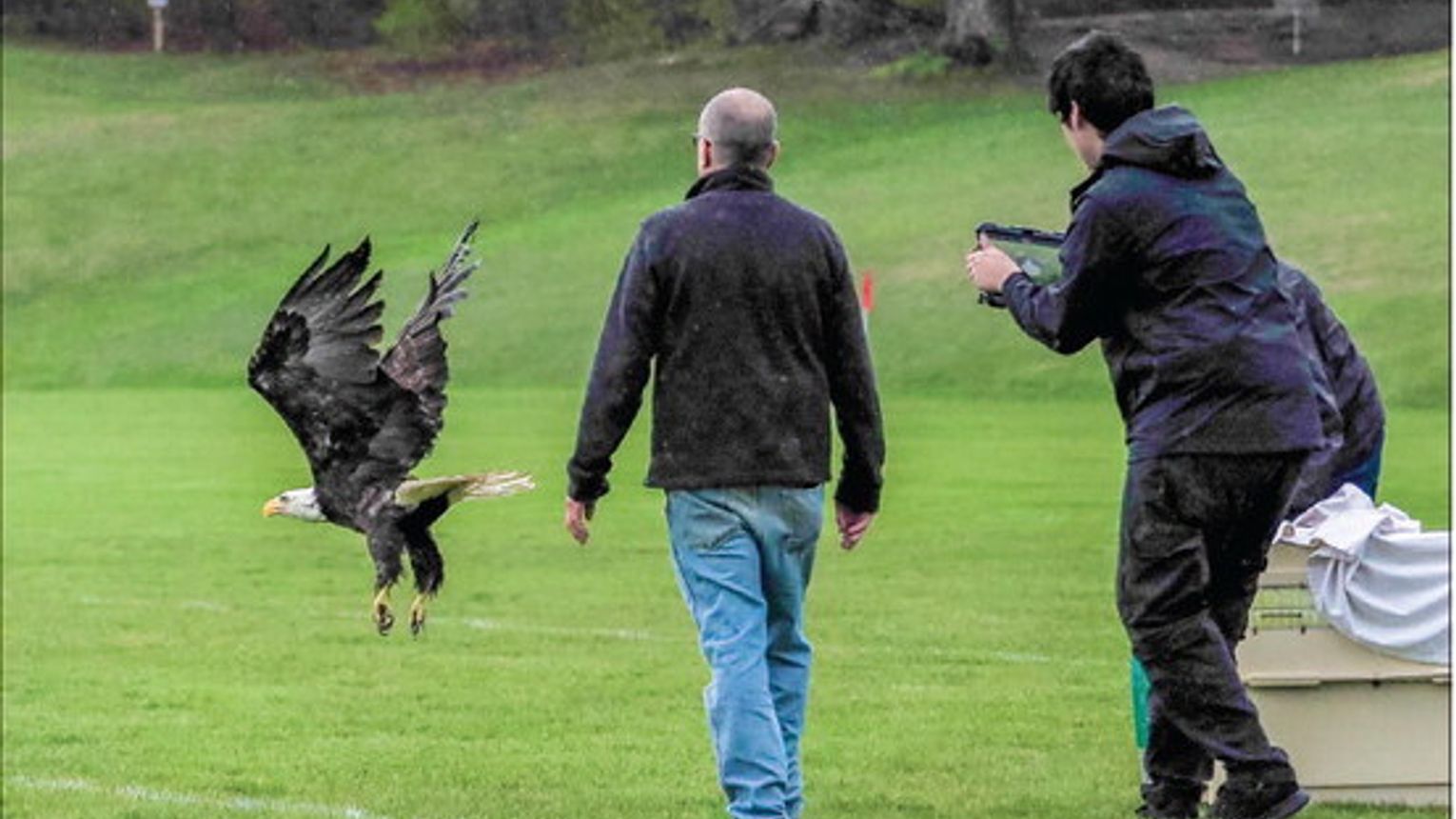 The Skegemog Raptor Center