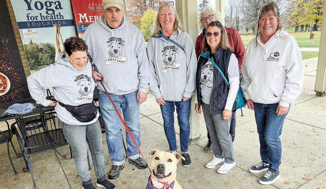 Animal Shelters look to find forever homes for animals this season