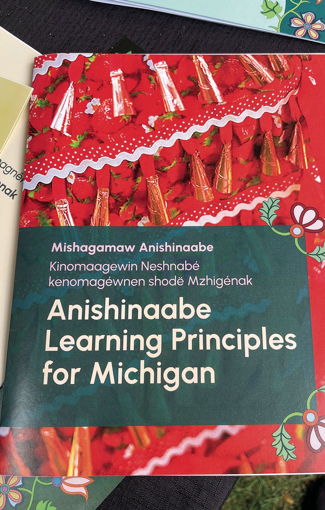 Anishinaabe-made learning resources available