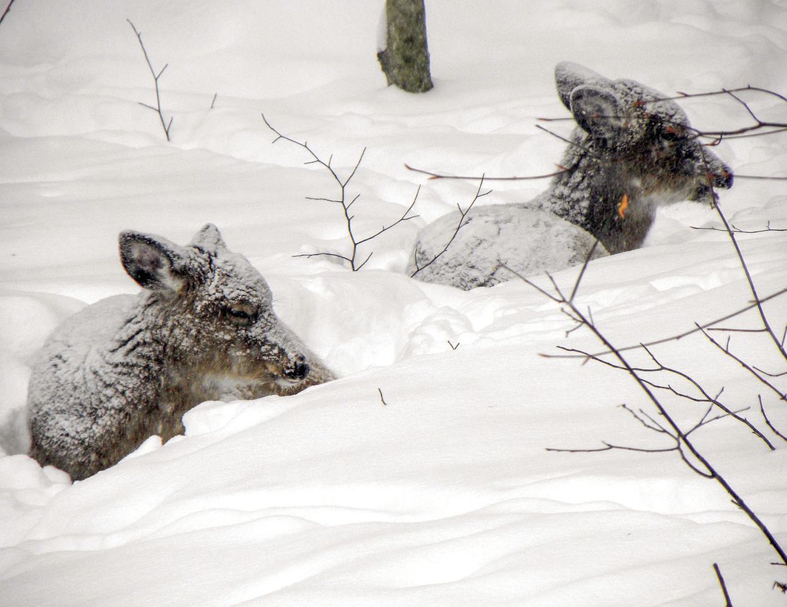 Be cautious on the ice