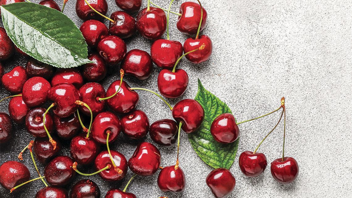 Bill to combat invasive fruit fly reintroduced Bill to combat invasive fruit fly reintroduced