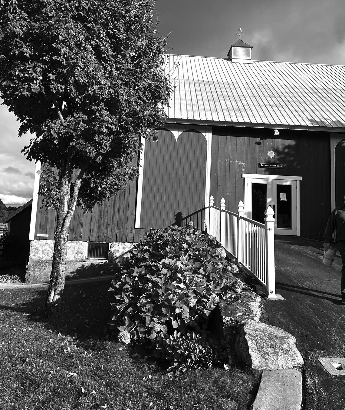 Black Star Farms hosts feast