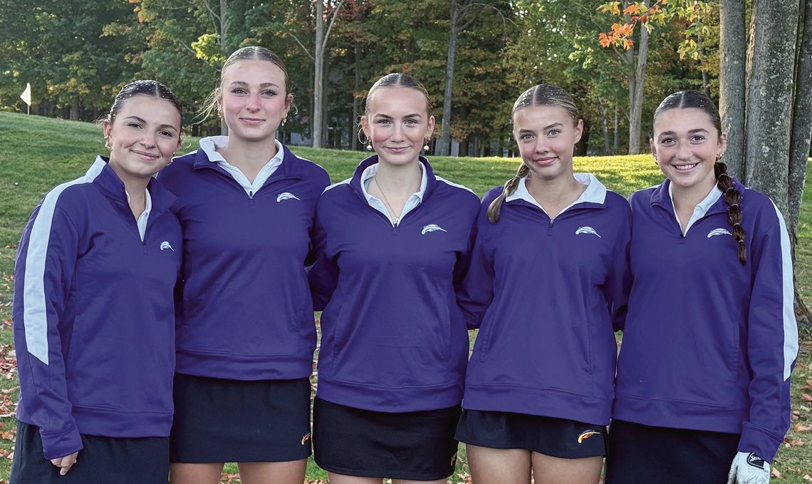 Comets nearly make it to states