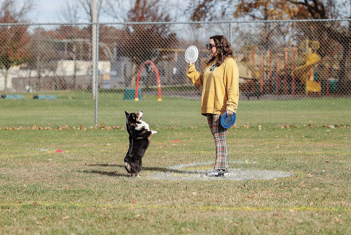 Dog lovers unite: disc dog league starts in January