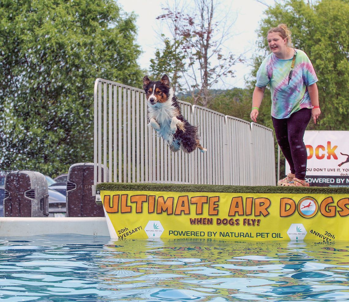 Dogs show off their stuff at Polka Fest