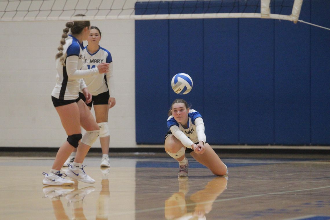 Eagles defeat Bulldogs