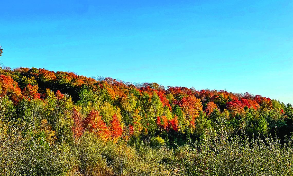 Fall colors were at peak vibrancy this past weekend along the Leelanau Trail and throughout the county. Enterprise photo by Meakalia Previch-Liu