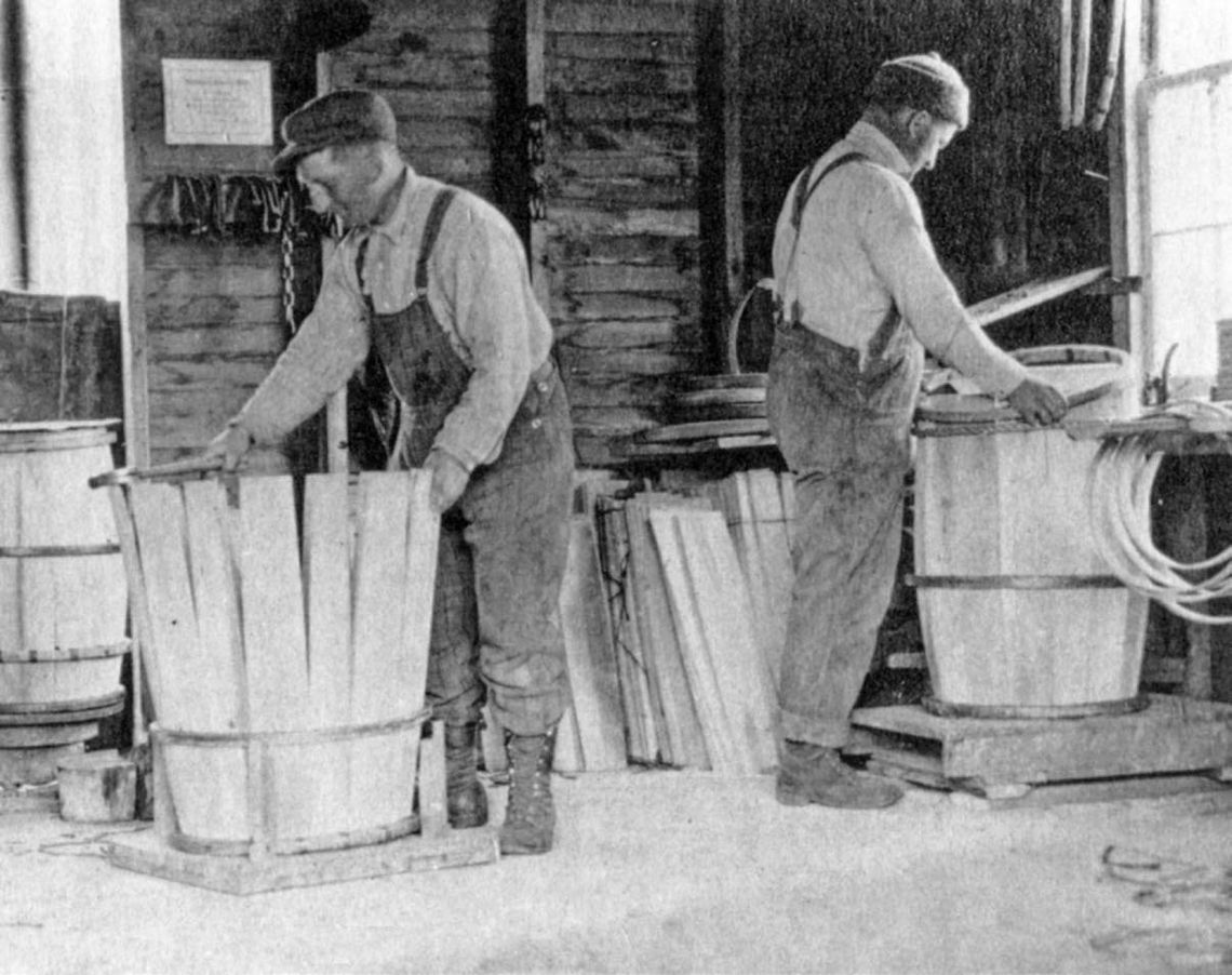 First apples planted in the mid-1800s First apples planted in the mid-1800s