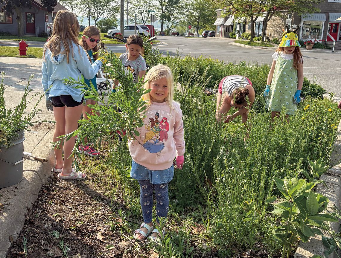 Girl Scout Troop 8751