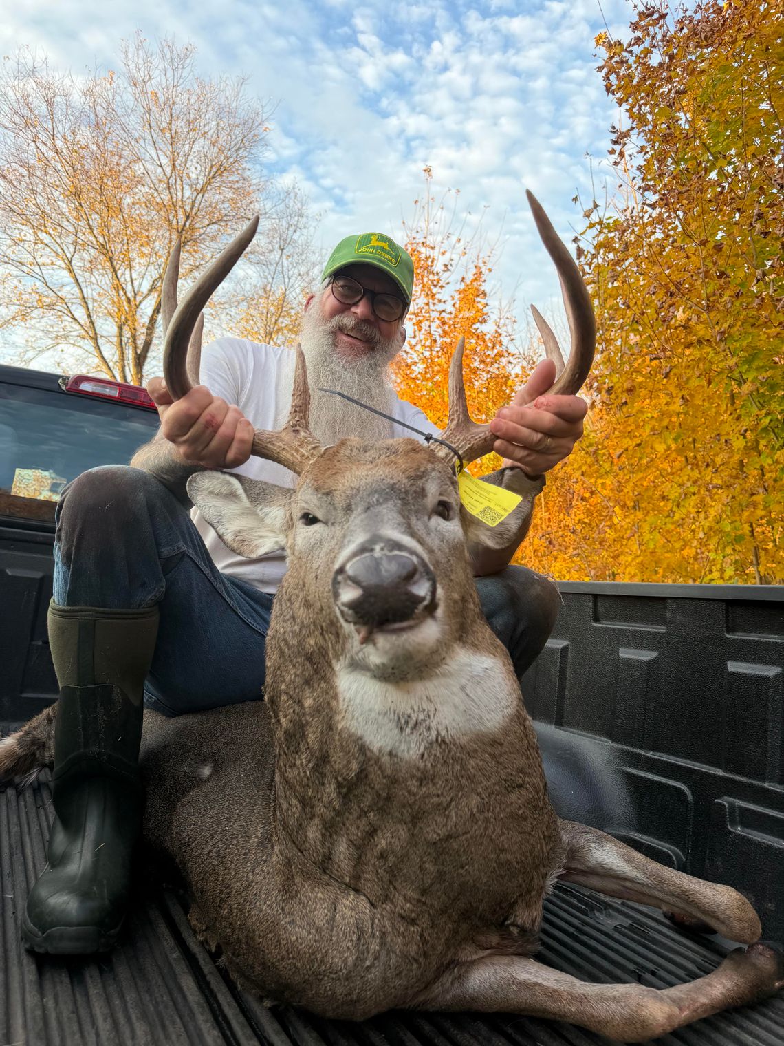 Harig tags dream buck