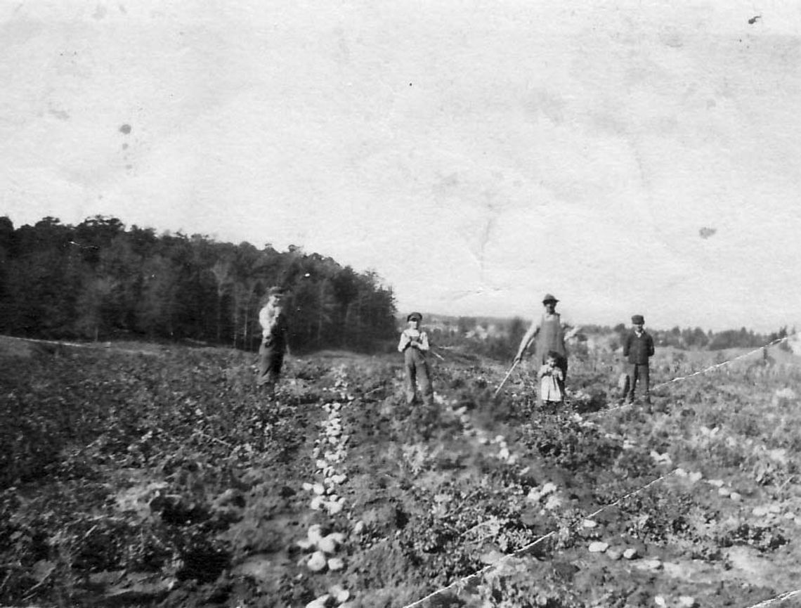 Kids got time off for ‘potato vacation’