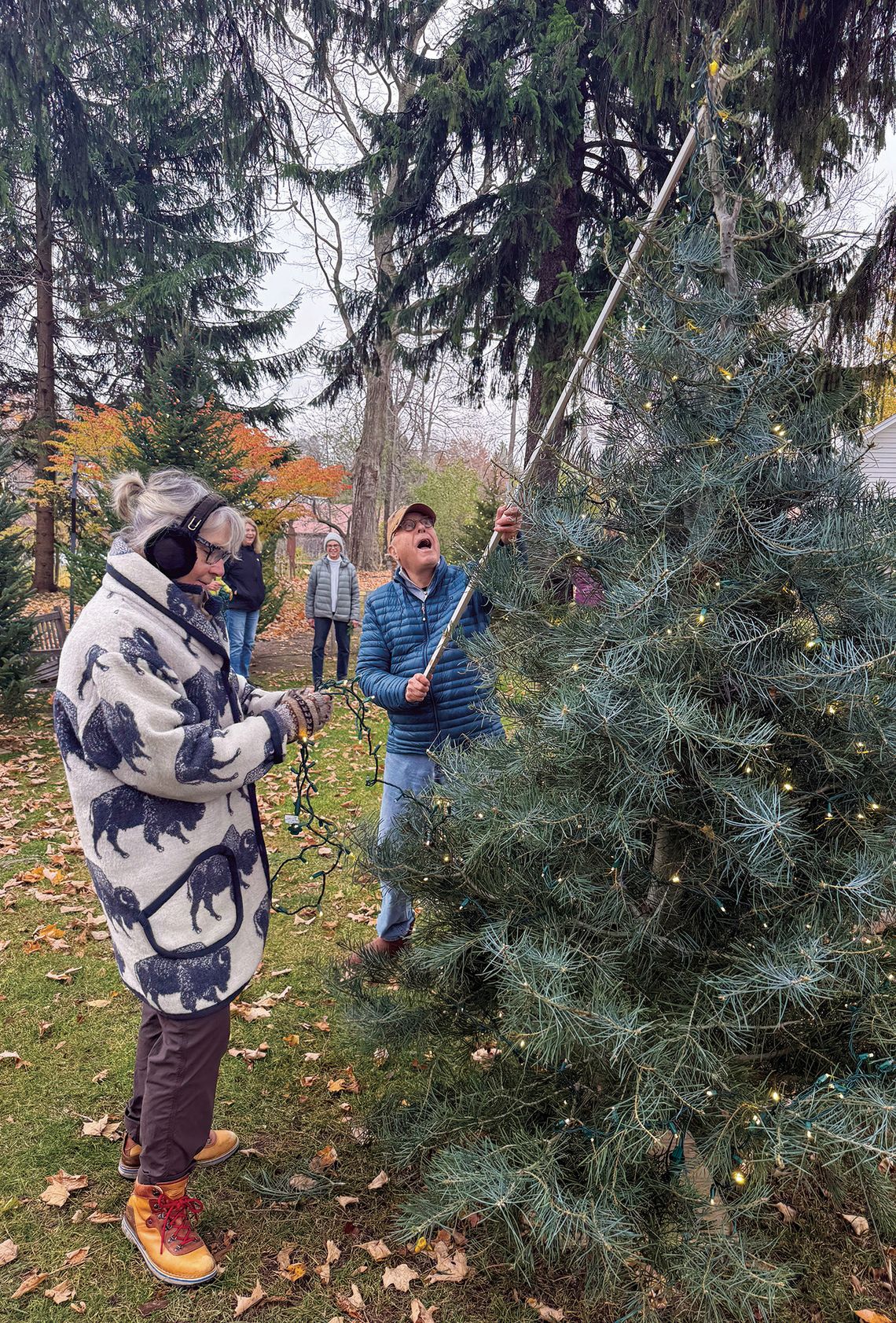 Kim McManama and Mike Mott place lights on trees
