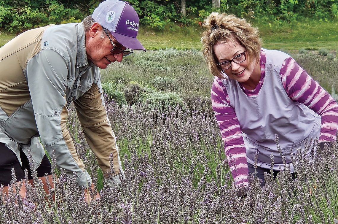 Mike and Mary Shimek are pictured here in the lavender field near Maple City. Courtesy photo
