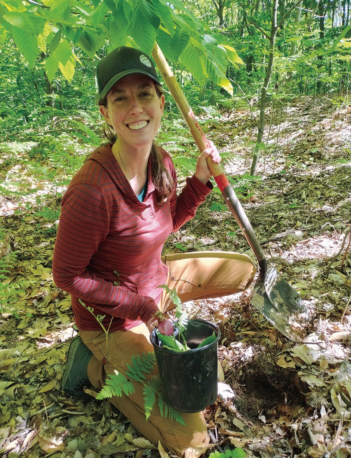 Leelanau’s Old Growth Forests: Living History