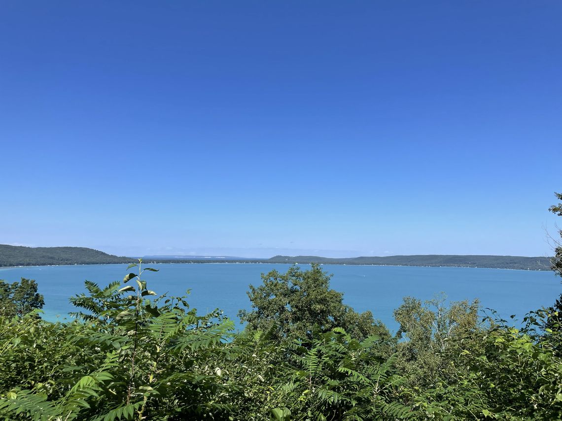 Living filters along lake shorelines