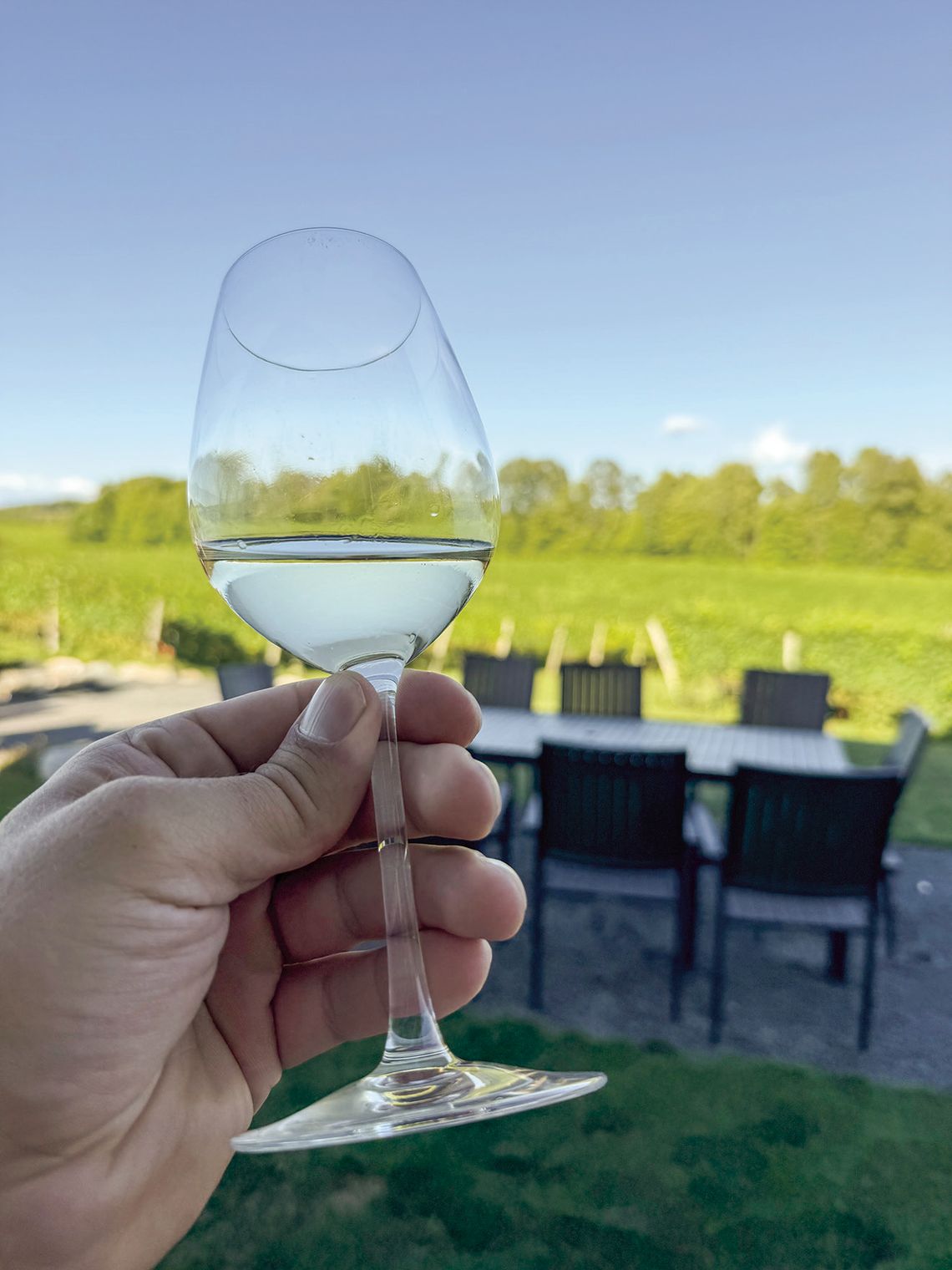 Local wines with a local catch Local wines with a local catch