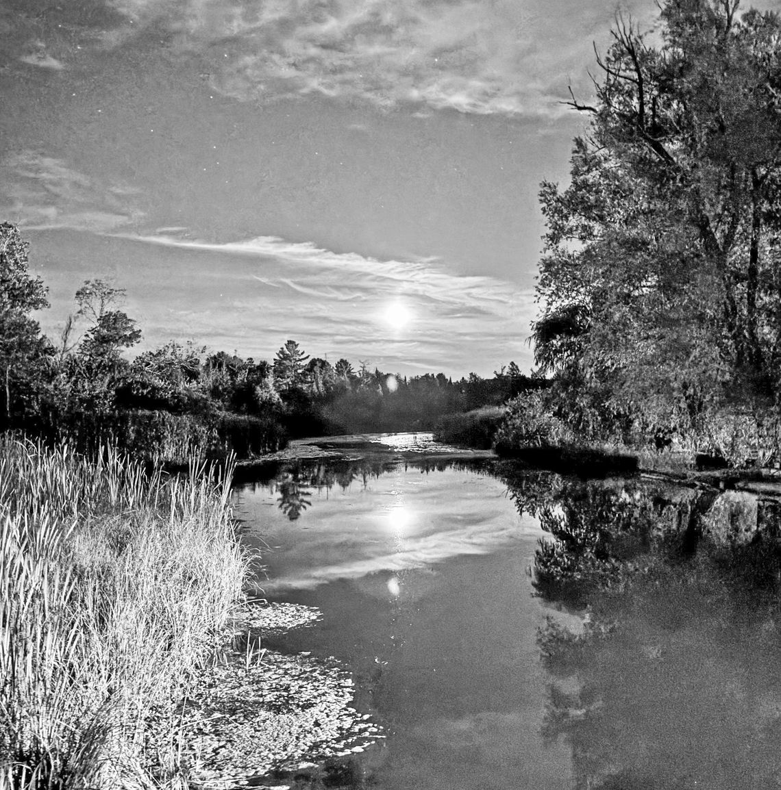 Moon over Victoria Creek on opening night of the Polka Fest Thursday. Photo courtesy of Marge Scheve