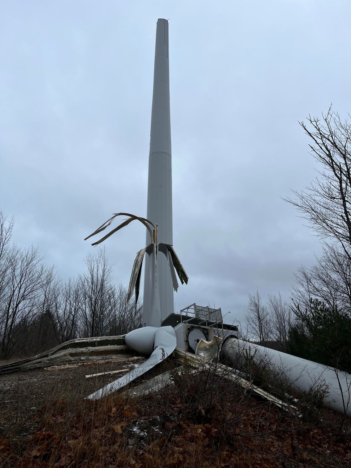Northport Council receives monopole update