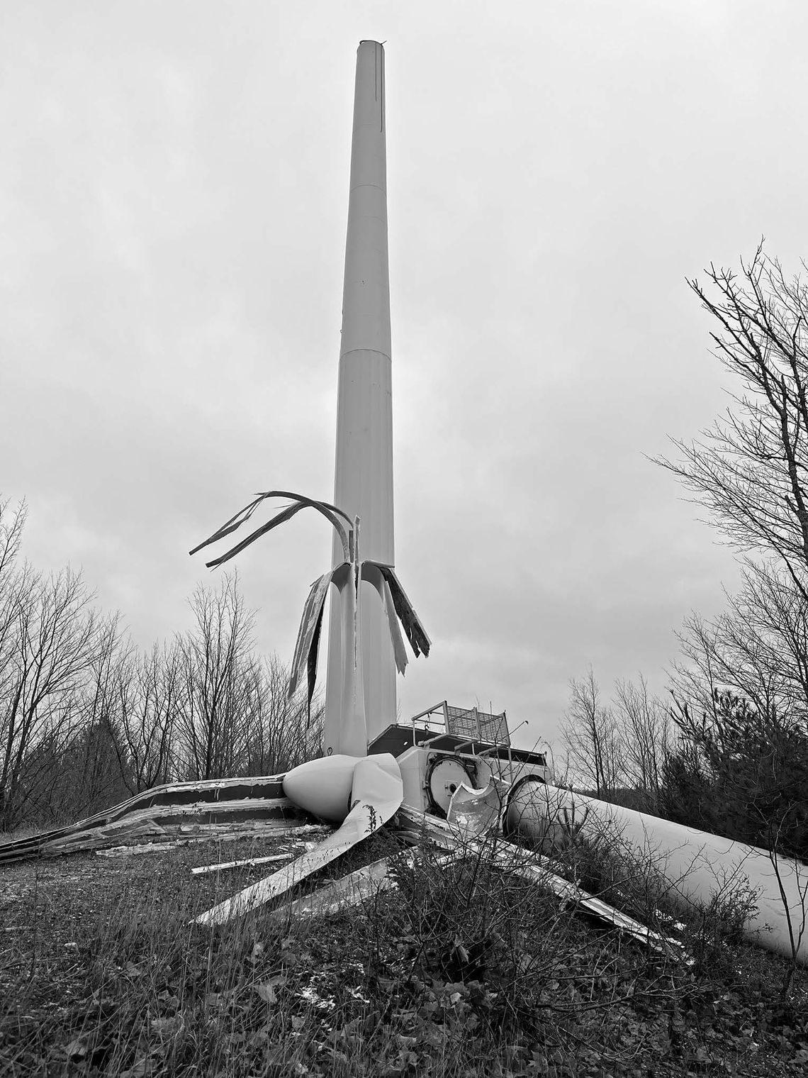 Northport monopole removal proposal approved