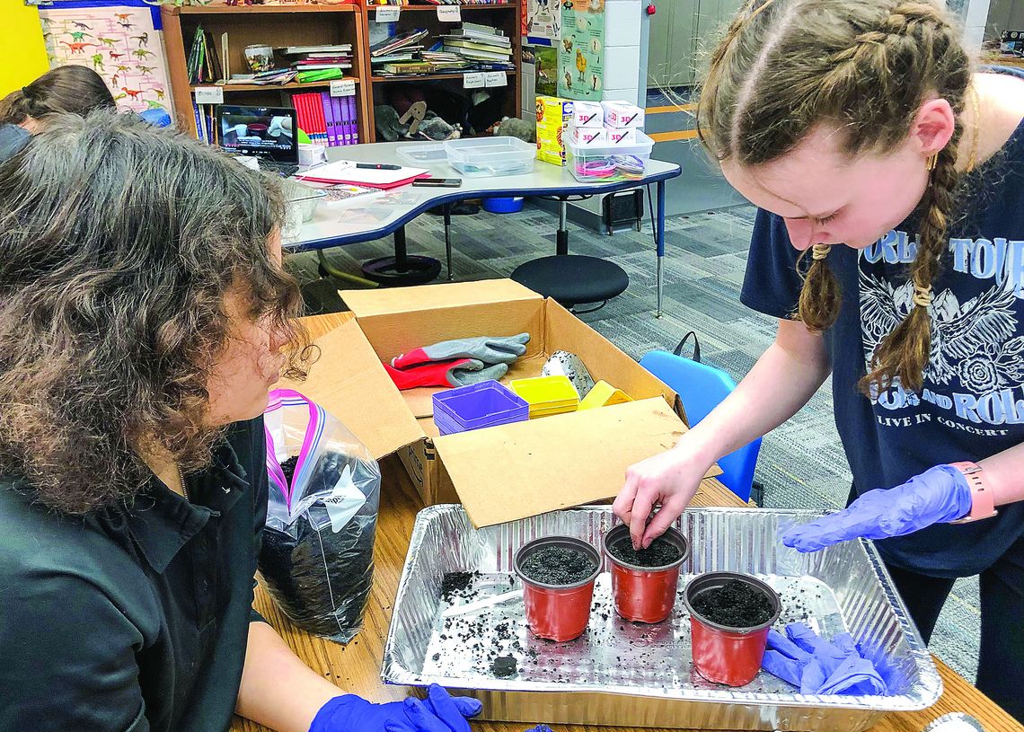 Eighth graders Alayah Jones, at left, and Elsie Purdy Teahen, at right, are pictured planting seeds in three different mediums: regolith (mock moon soil), a half and half regolith and “earth (Michigan) dirt” mix, and just earth dirt, for the mission objective: gardening on the moon. Photo...