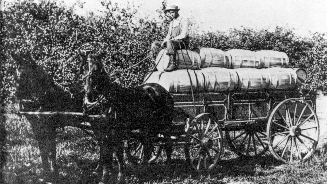 Peninsula was once ‘Apple central’