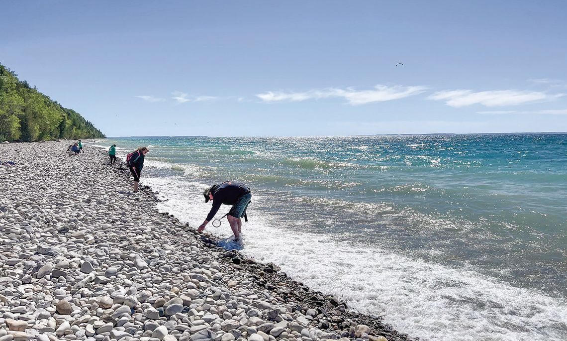 People gather along the shores at Peterson Park in Northport to rock hunt for treasures pushed up by the waves. Enterprise photo by Meakalia Previch-Liu