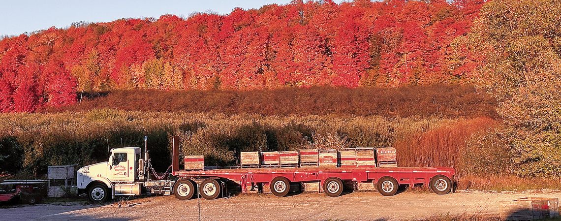 Perhaps what's left of the fall colors serves as the backdrop for the last of apple harvest in Centerville Township