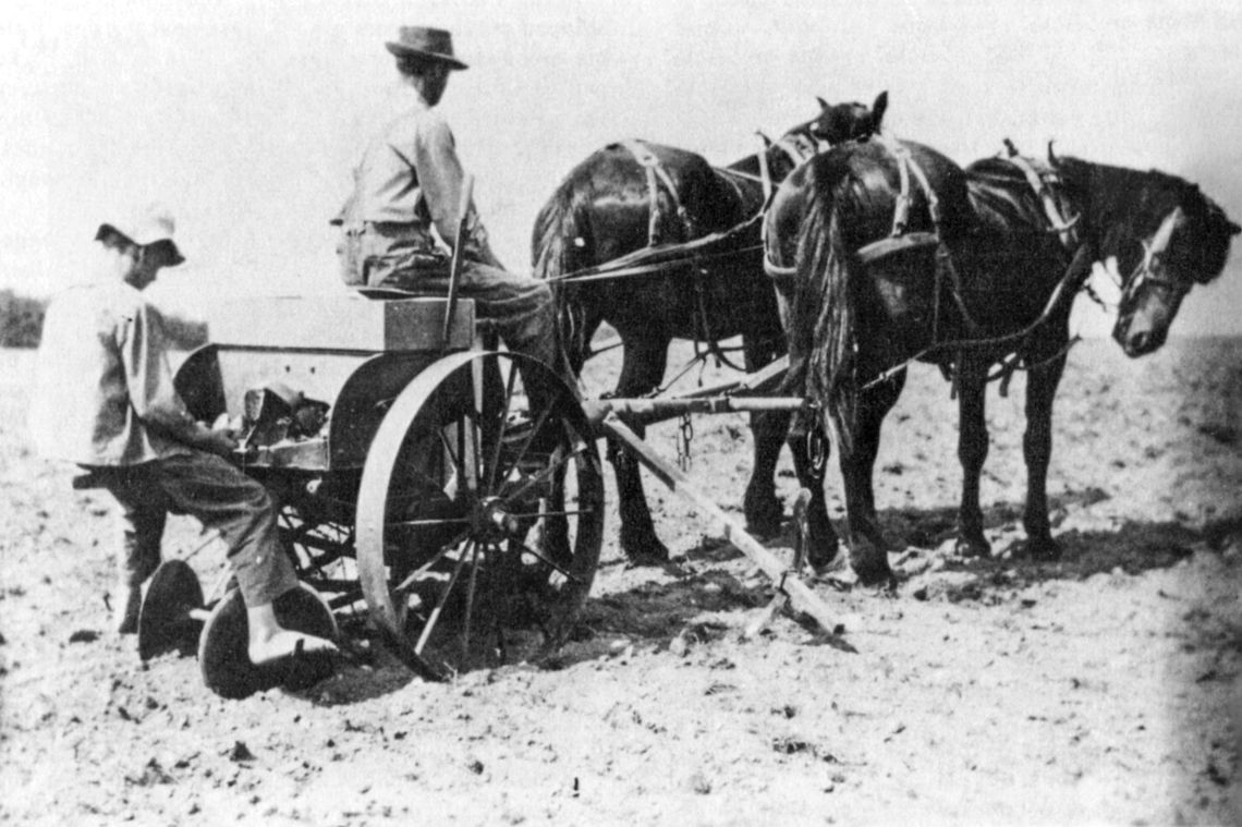 Nels and Alvin Fredrickson planting potatoes by machine in the early 1900s. Photo from “A History of Leelanau Township” by the Leelanau Township Historical Writers Group