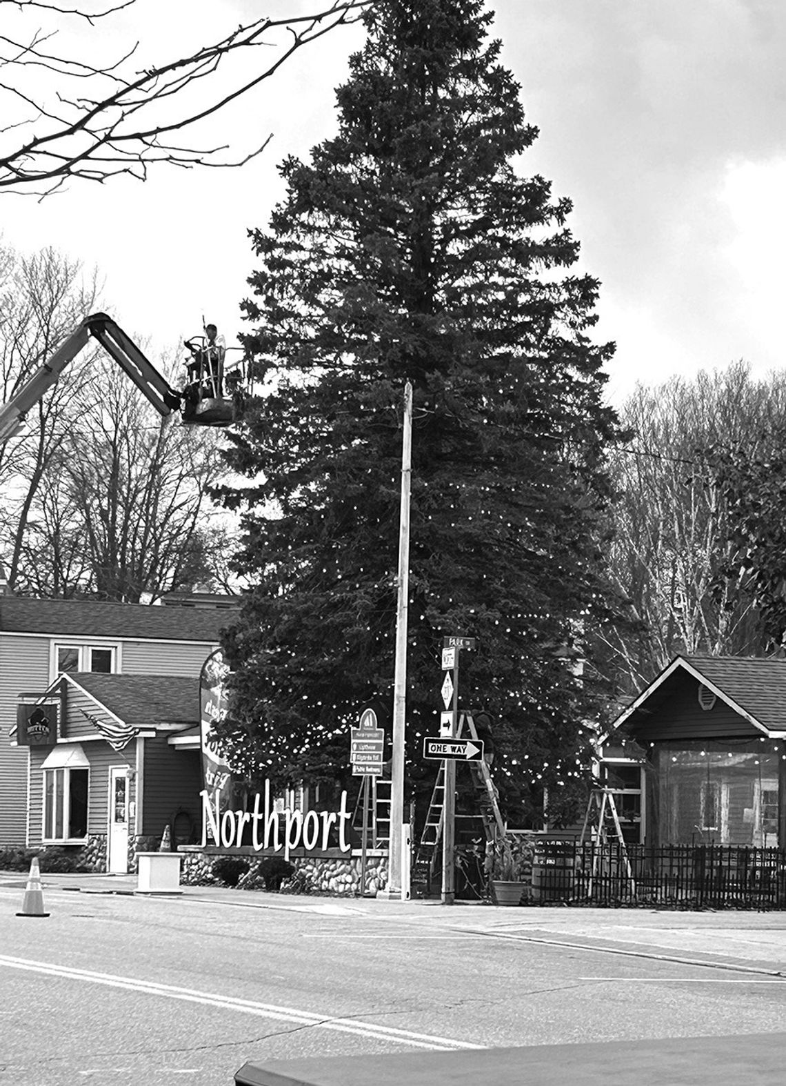 The Northport Christmas Tree, always a spectacular sight, is being readied for the season. Scott Cain, owner of Cain Design and Construction, was up the bucket hanging giant ornaments. The tree lighting will be Saturday, November 30 at 6 pm. There are events all that day in Northport. Cour...