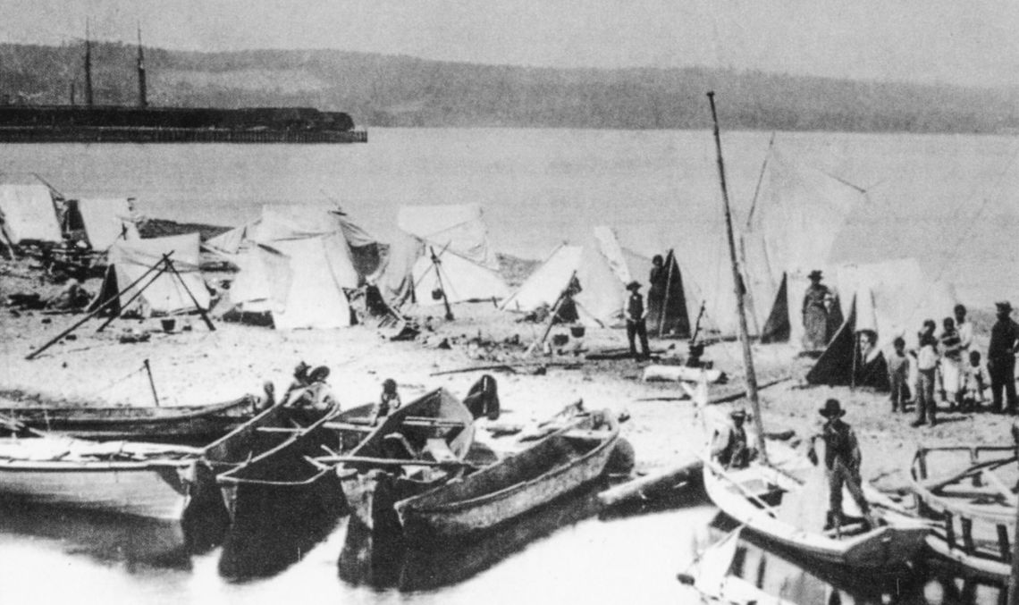 Resource-rich Suttons Bay, timber and soil