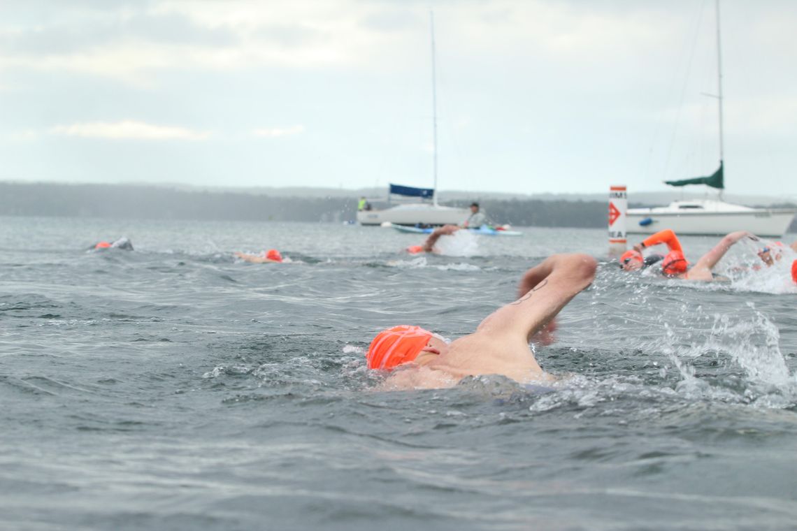 Swim The Bay returns Aug. 8 Swim The Bay returns Aug. 8