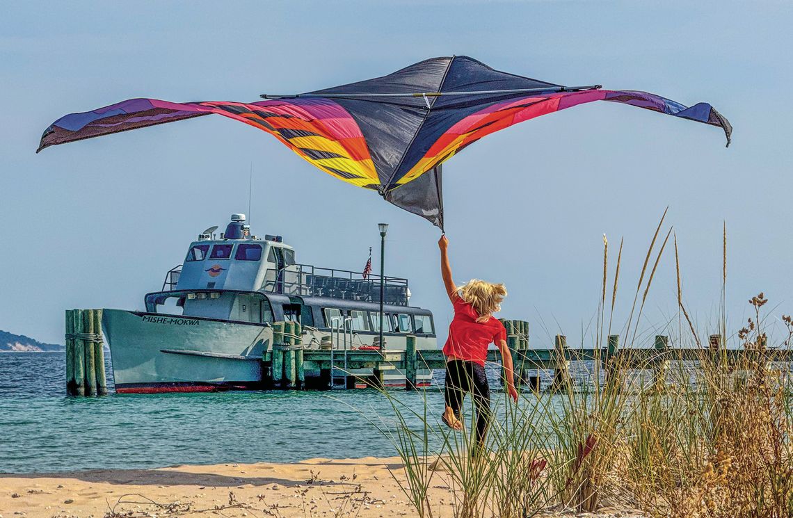 TAKING FLIGHT