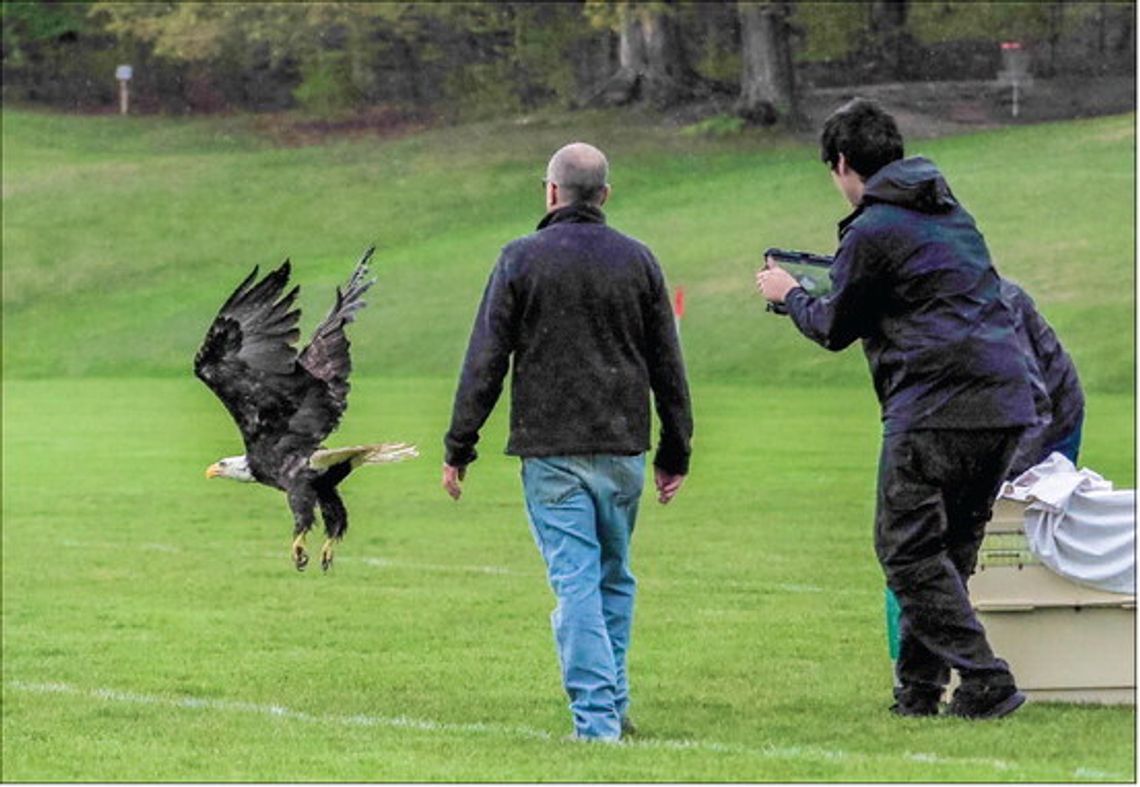 The Skegemog Raptor Center
