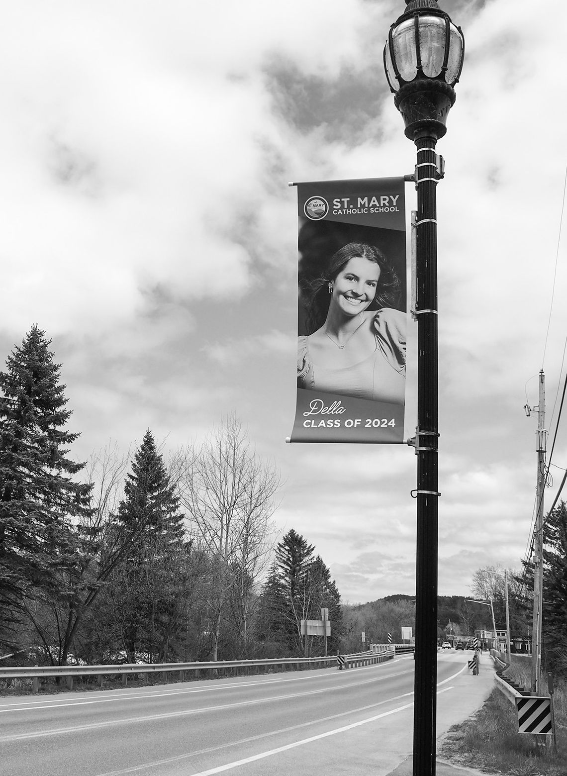 The street banners in downtown Lake Leelanau