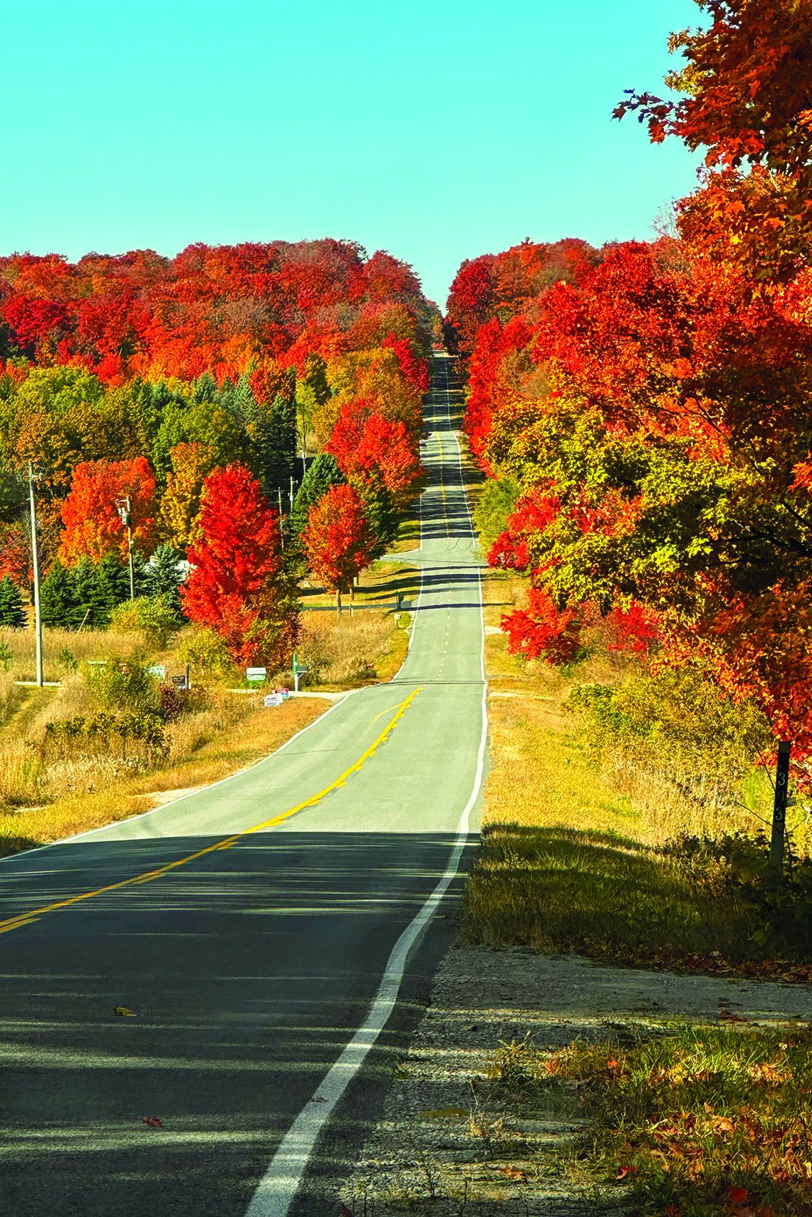 This rollercoaster road in Centerville Township has more color than just the political signs. Enterprise photo by Amy Hubbell