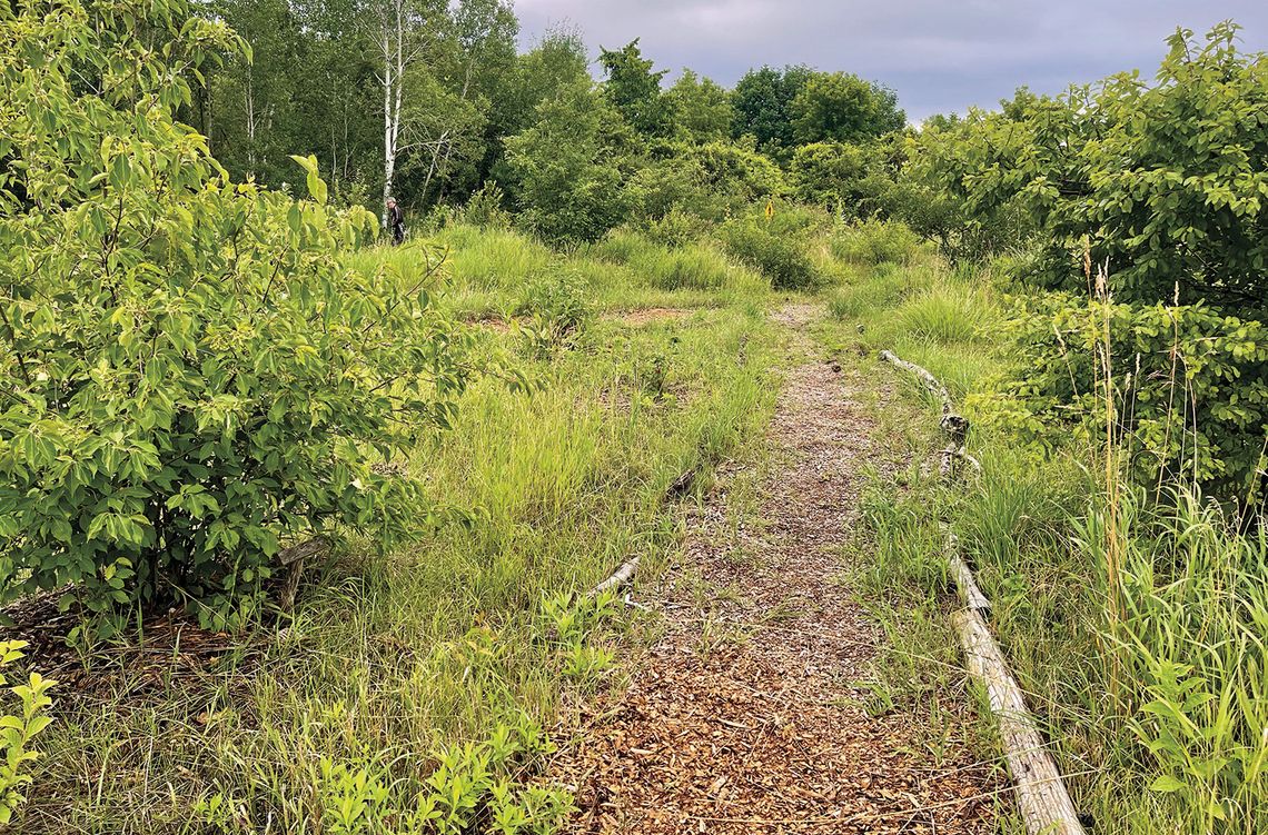 DeYoung Natural Area is managed by the Leelanau Conservancy and includes lakeshore, cedar forest, naturalized fields, and active farmland. Pictured here are parts of the edible forest stationed along the trail at the natural area that people will see. Enterprise photos by Meakalia Previch-...