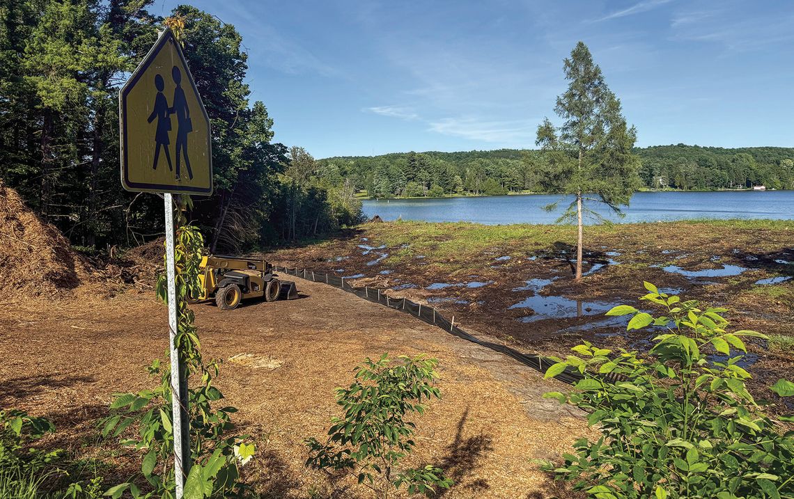Trees cut down at Lake Leelanau property Trees cut down at Lake Leelanau property