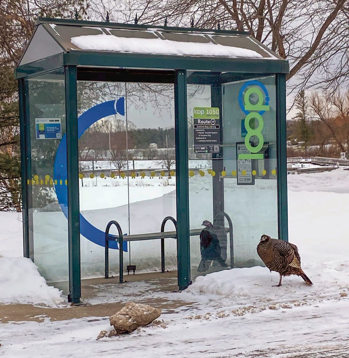 Turkey talk takes over S-B