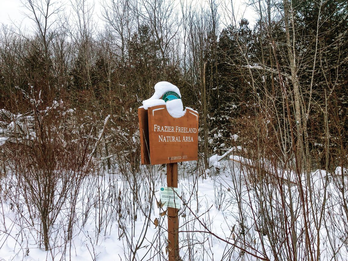 The Frazier Freeland Nature Area off Freeland Road shares a 900 foot property line with an 80 acre parcel near Omena that was sold by Villa Marquette to the Leelanau Conservancy. Enterprise photo by Alan Campbell