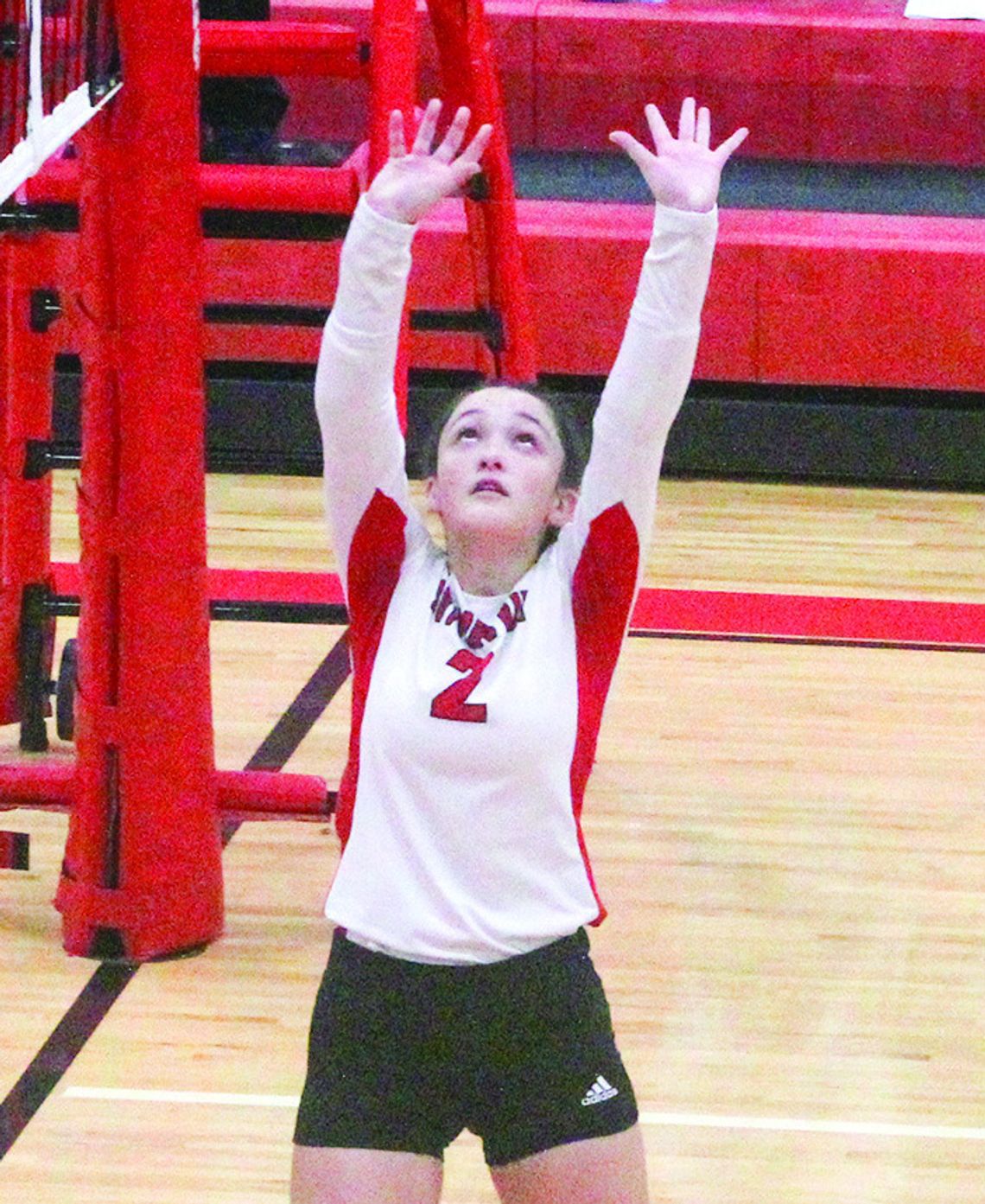 Volleyball Dream Team