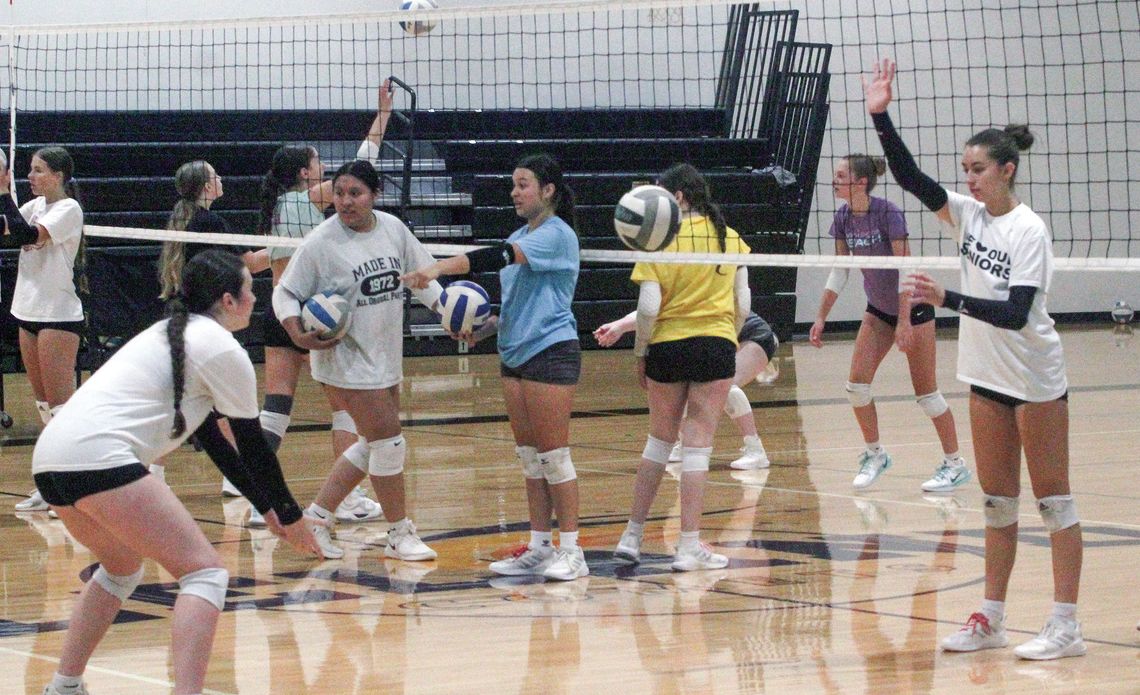 Volleyball preview: