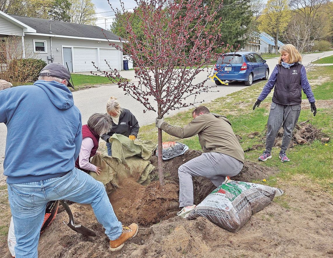 Volunteers help clean-up SB