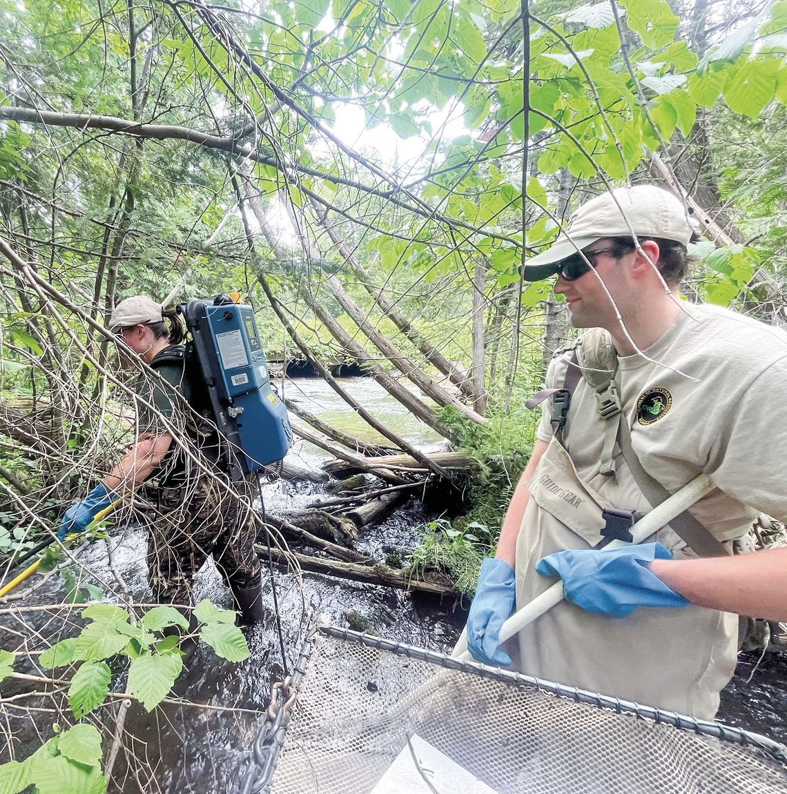 What happened to brook trout fishing?