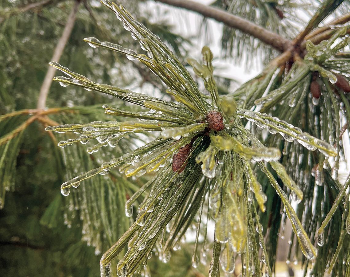 Wintry weather mix ahead