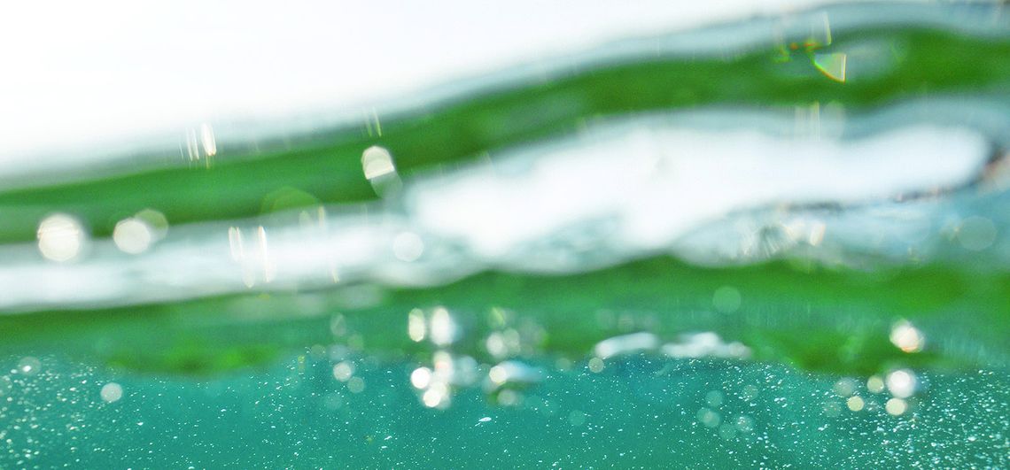 Work of Leelanau photographer featured Work of Leelanau photographer featured