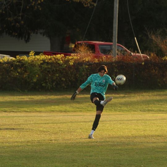 Leland captures district championship, 4-1
